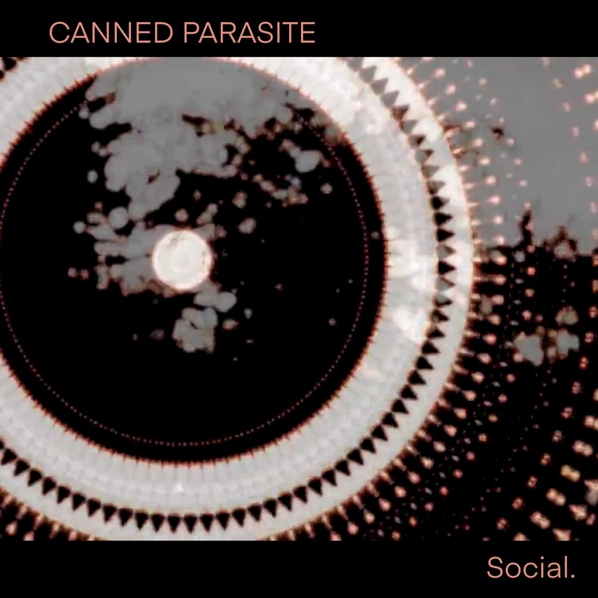 Social.