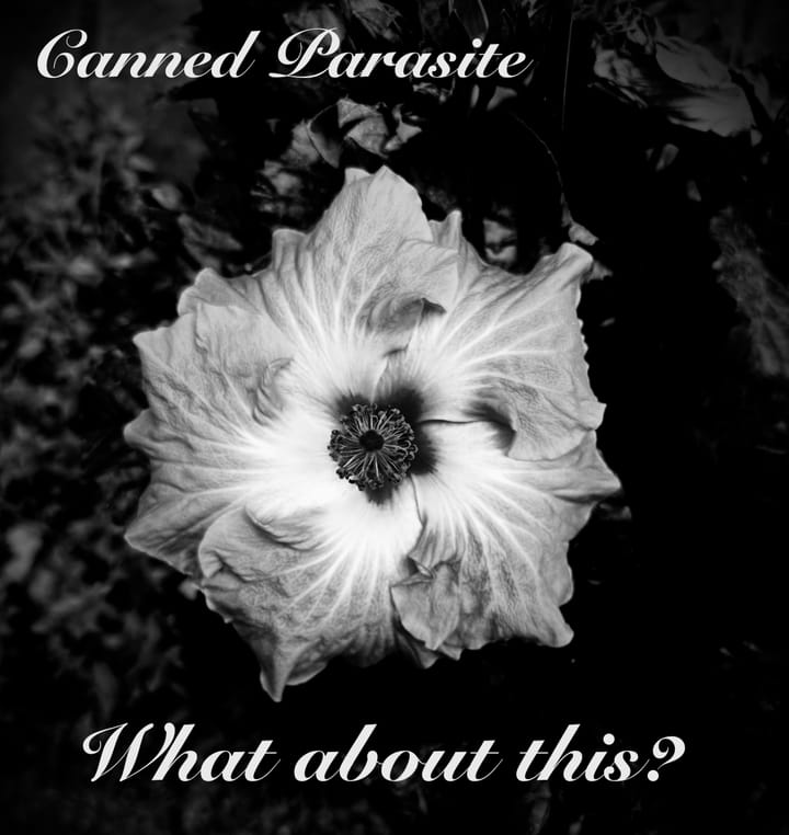 A picture of a large flower in stark black and white with the text “Canned Parasite” atop, and “What about this?” at the bottom. 