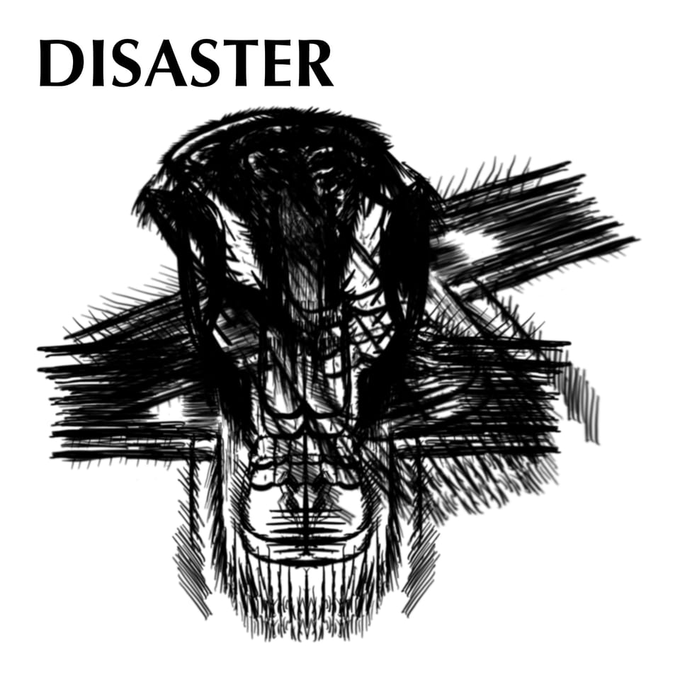 Disaster